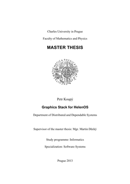 Master Thesis