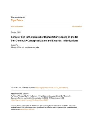 Essays on Digital Self-Continuity Conceptualization and Empirical Investigations