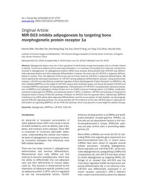 Original Article Mir-503 Inhibits Adipogenesis by Targeting Bone Morphogenetic Protein Receptor 1A