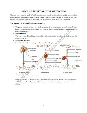NEURON and the PHYSIOLOGY of NERVE IMPULSE the Nervous