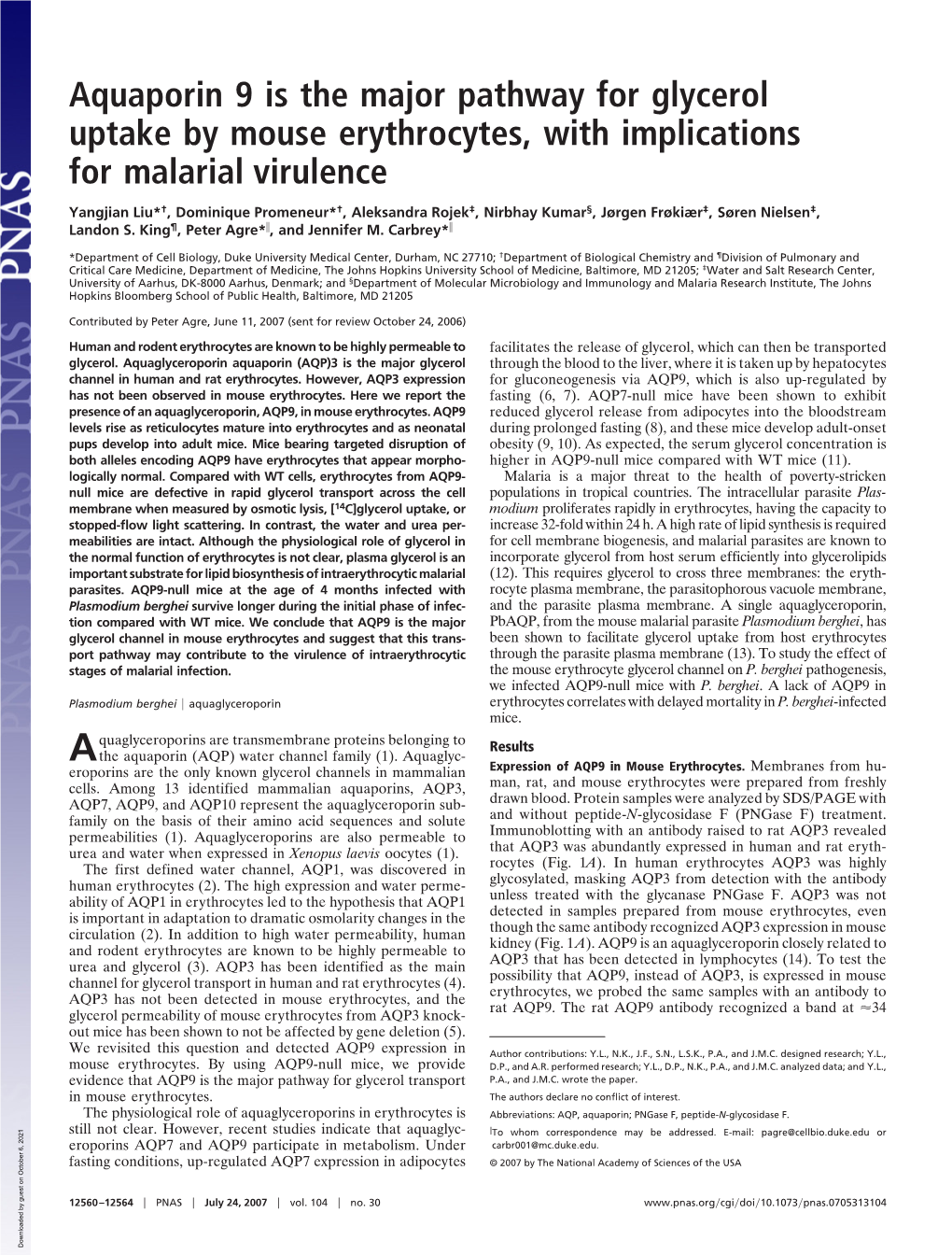 Aquaporin 9 Is the Major Pathway for Glycerol Uptake by Mouse Erythrocytes, with Implications for Malarial Virulence