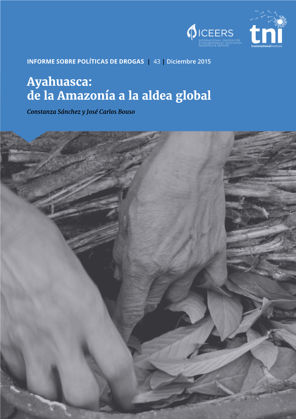 Ayahuasca: De La Amazonía a La Aldea Global