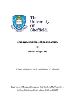 Staphylococcus Infection Dynamics