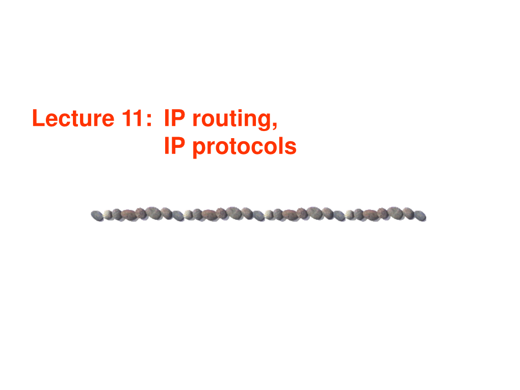 IP Routing & Protocols