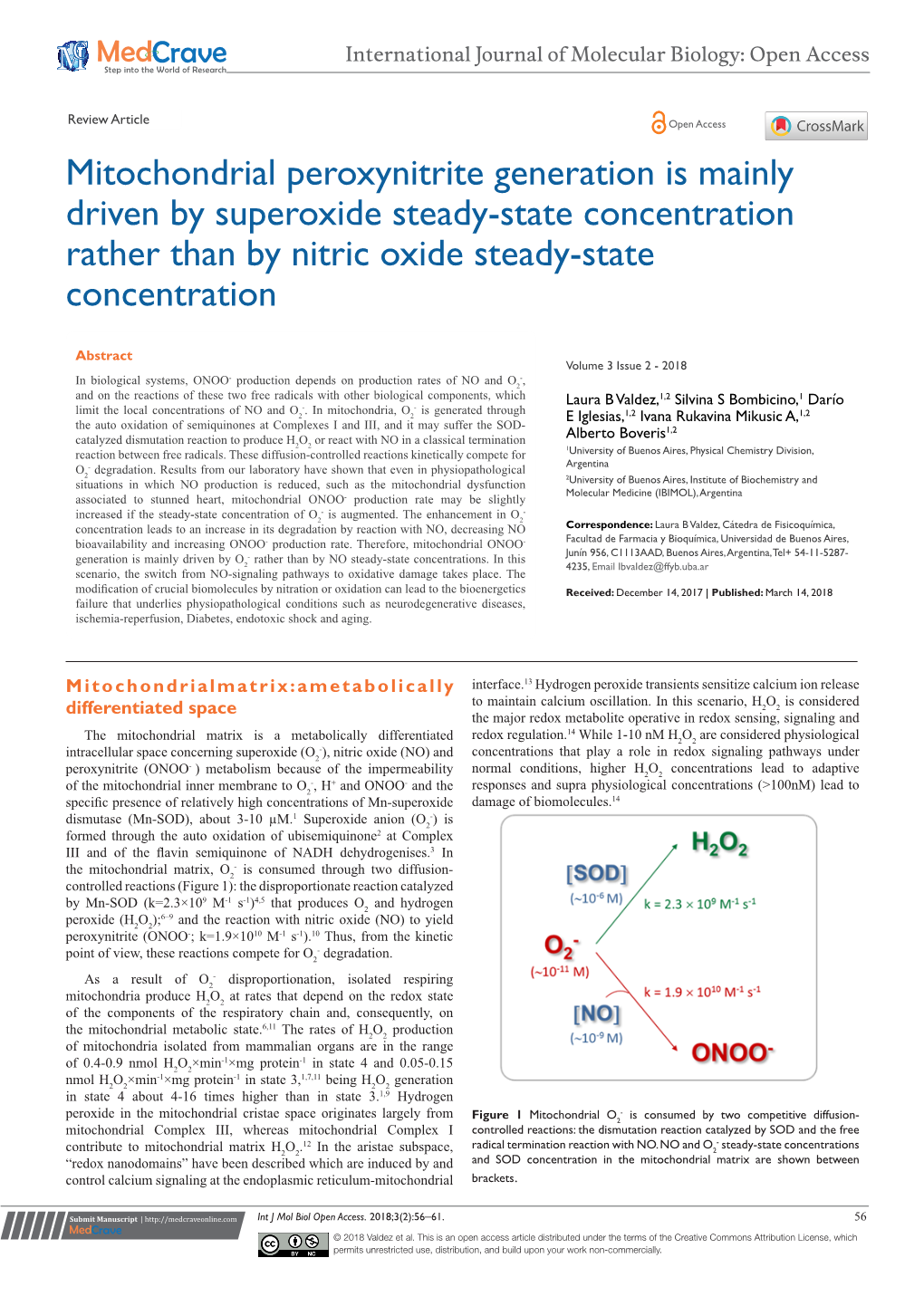 Mitochondrial Peroxynitrite Generation Is Mainly Driven by Superoxide Steady-State Concentration Rather Than by Nitric Oxide Steady-State Concentration