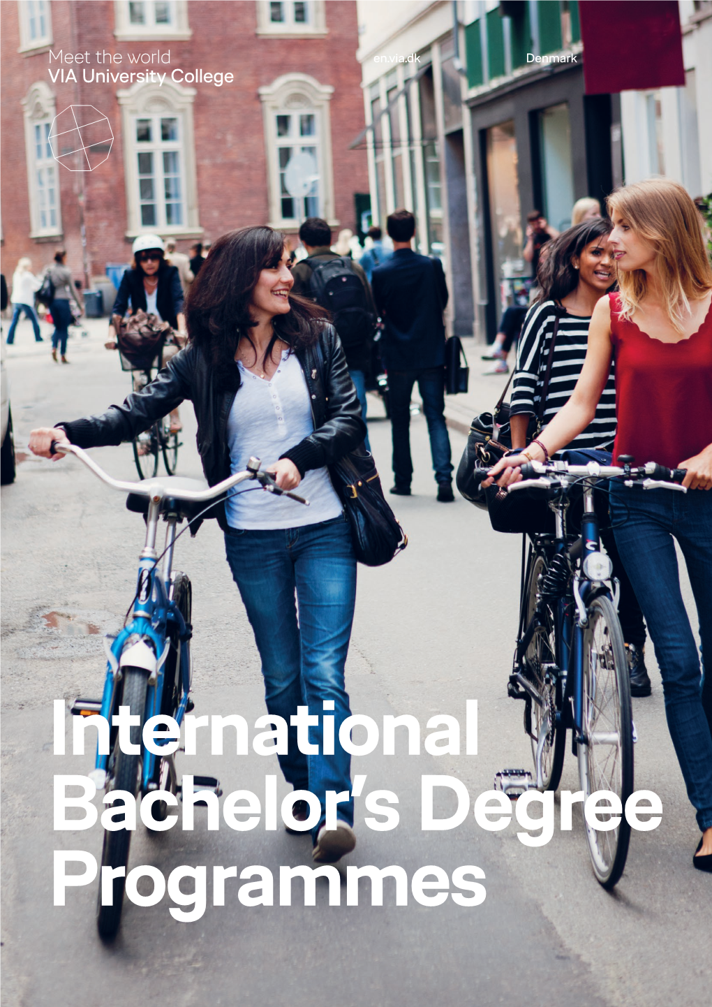 International Bachelor's Degree Programmes