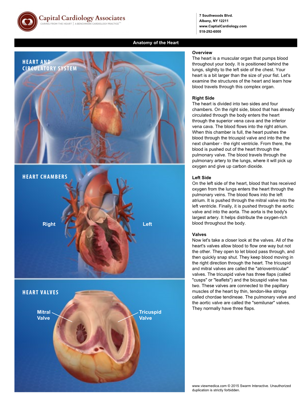 Heart and Circulatory System Heart Chambers