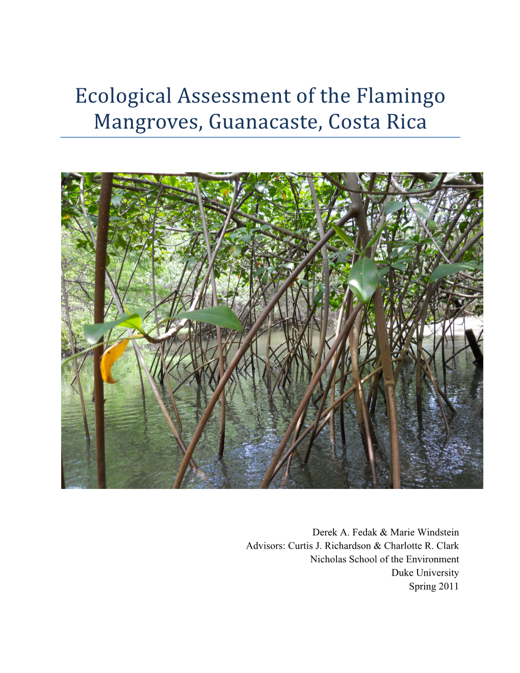 Ecological Assessment of the Flamingo Mangroves, Guanacaste, Costa Rica