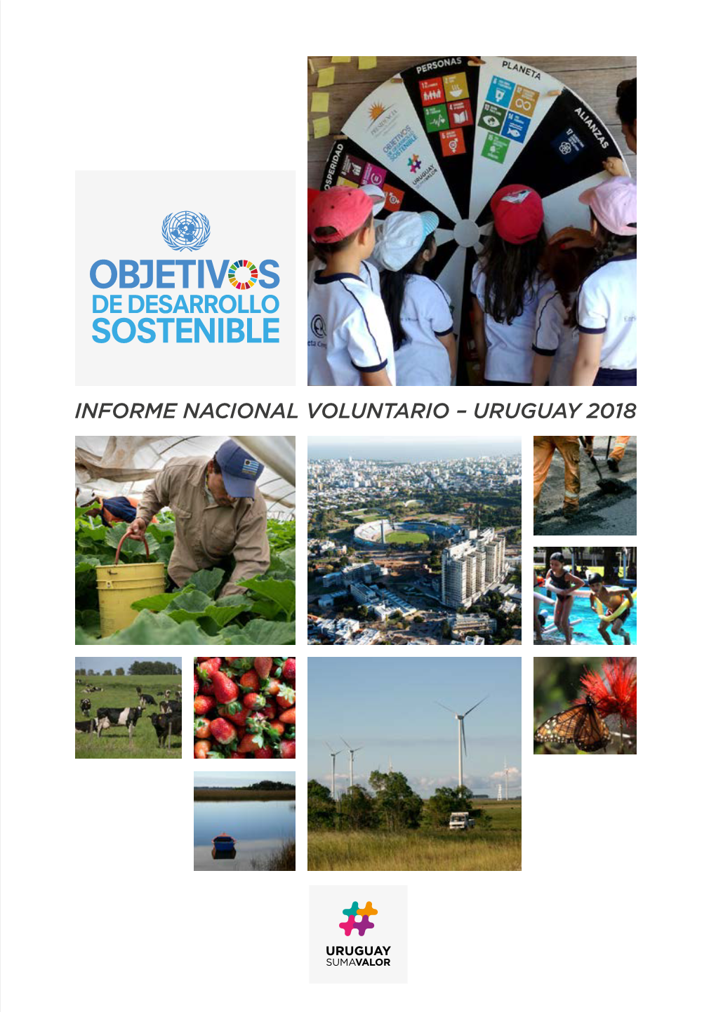 Informe Nacional Voluntario – Uruguay 2018