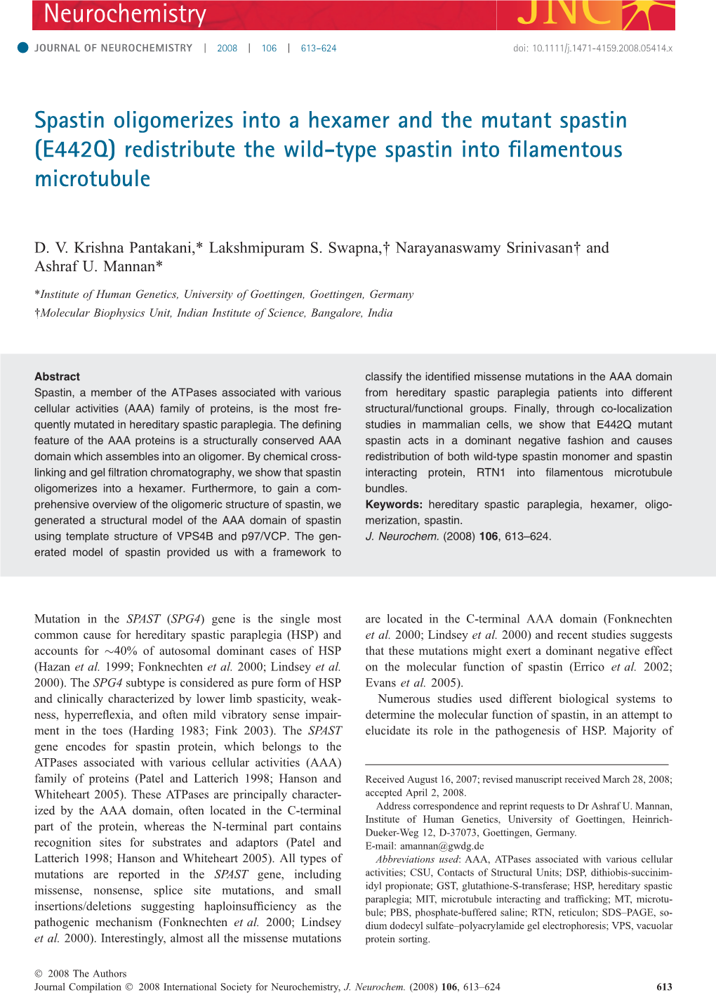 (E442Q) Redistribute the Wild-Type Spastin Into Filamentous Microtubu