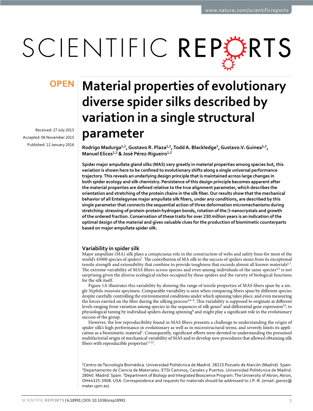 Material Properties of Evolutionary Diverse Spider Silks Described By
