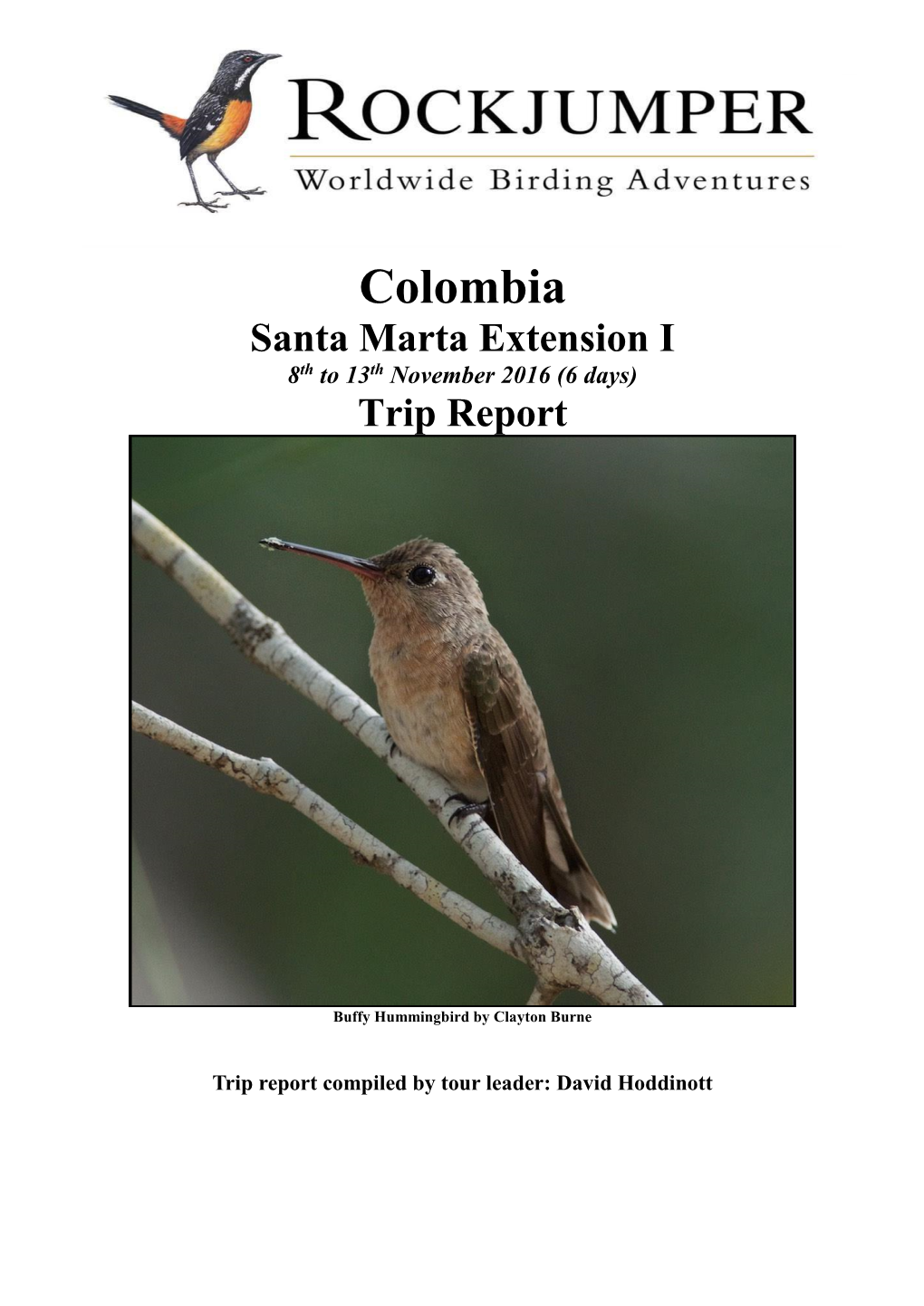 Colombia Santa Marta Extension I 8Th to 13Th November 2016 (6 Days) Trip Report