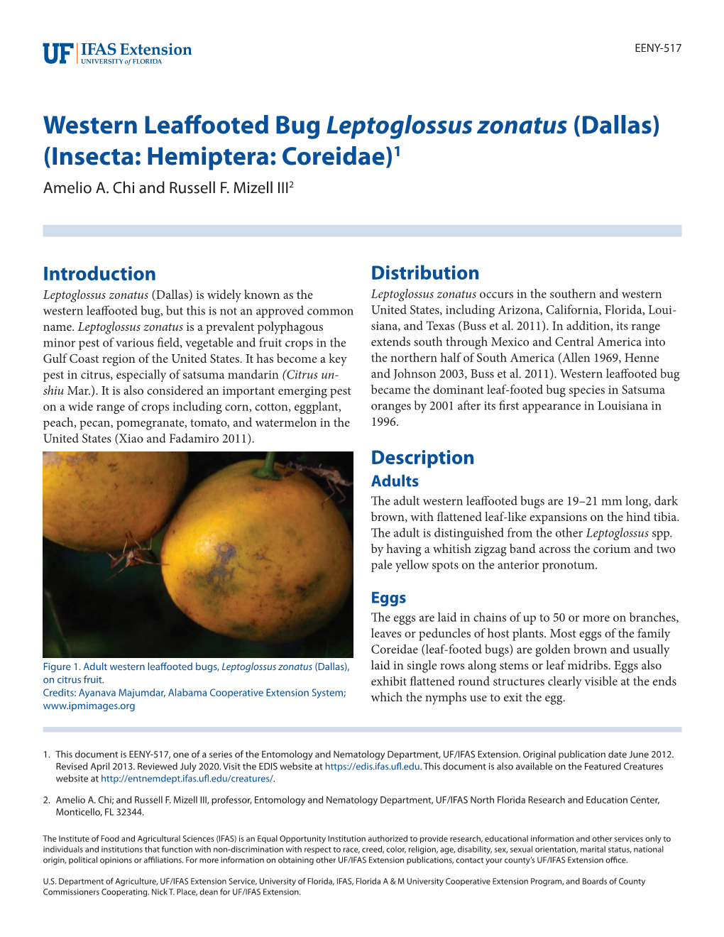 Western Leaffooted Bug Leptoglossus Zonatus (Dallas) (Insecta: Hemiptera: Coreidae) 2 Hidden but Consequently Renders the Fruit Unpalatable