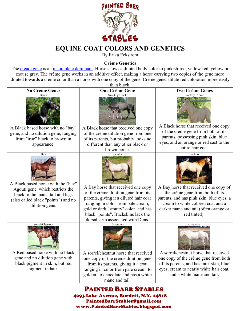 EQUINE COAT COLORS and GENETICS by Erika Eckstrom