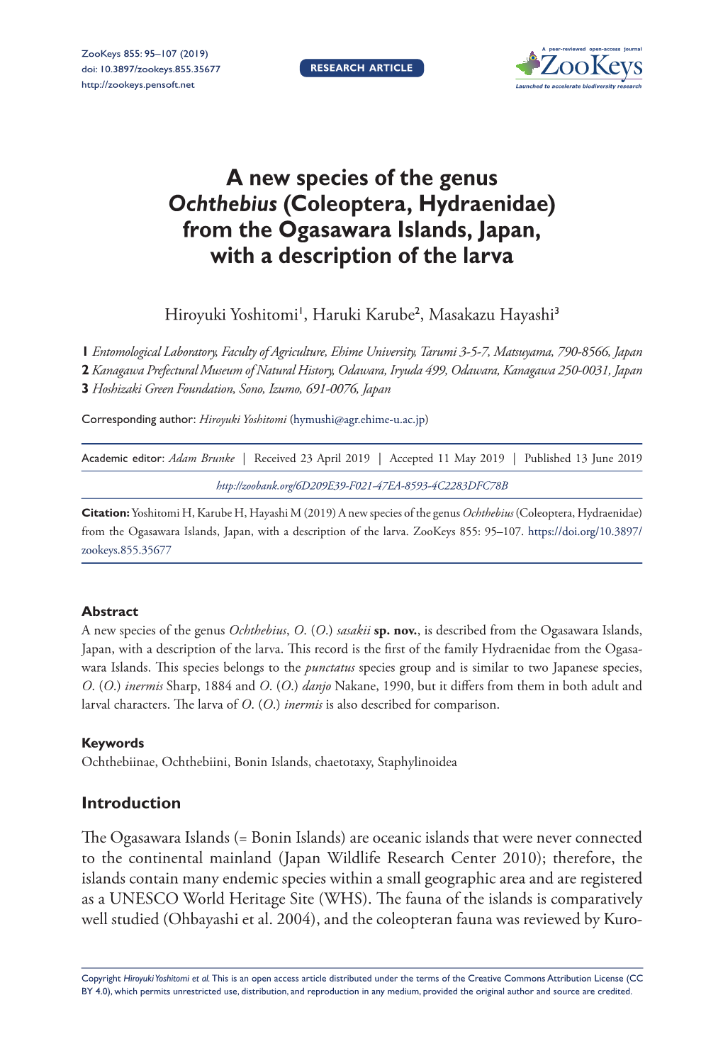 (Coleoptera, Hydraenidae) from the Ogasawara Islands, Japan, with a Description of the Larva