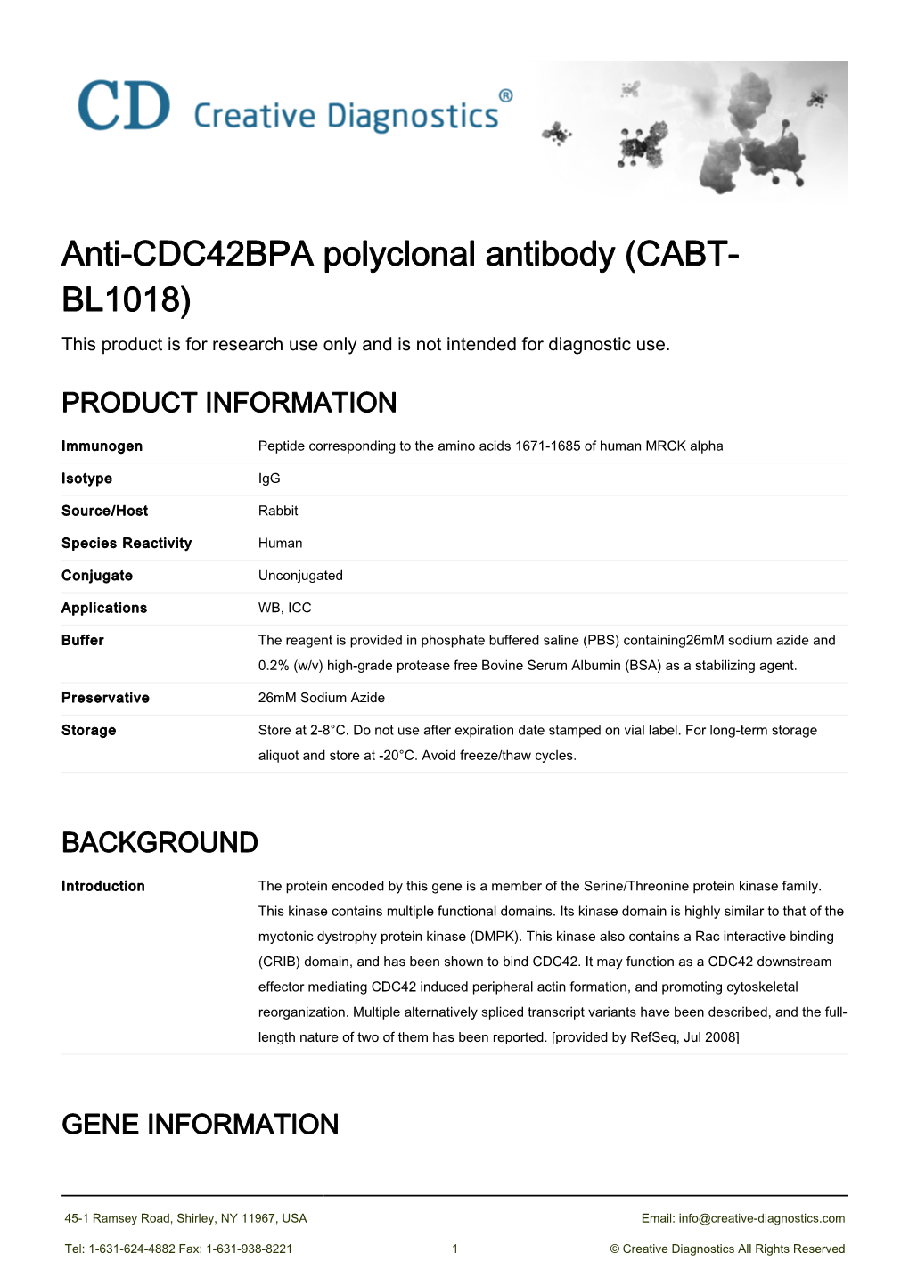 Anti-CDC42BPA Polyclonal Antibody (CABT- BL1018) This Product Is for Research Use Only and Is Not Intended for Diagnostic Use