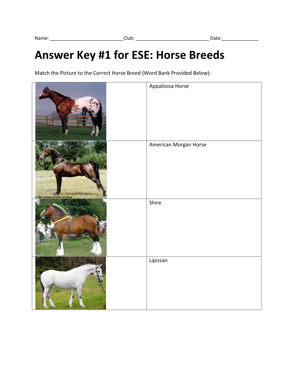 Answer Key #1 for ESE: Horse Breeds