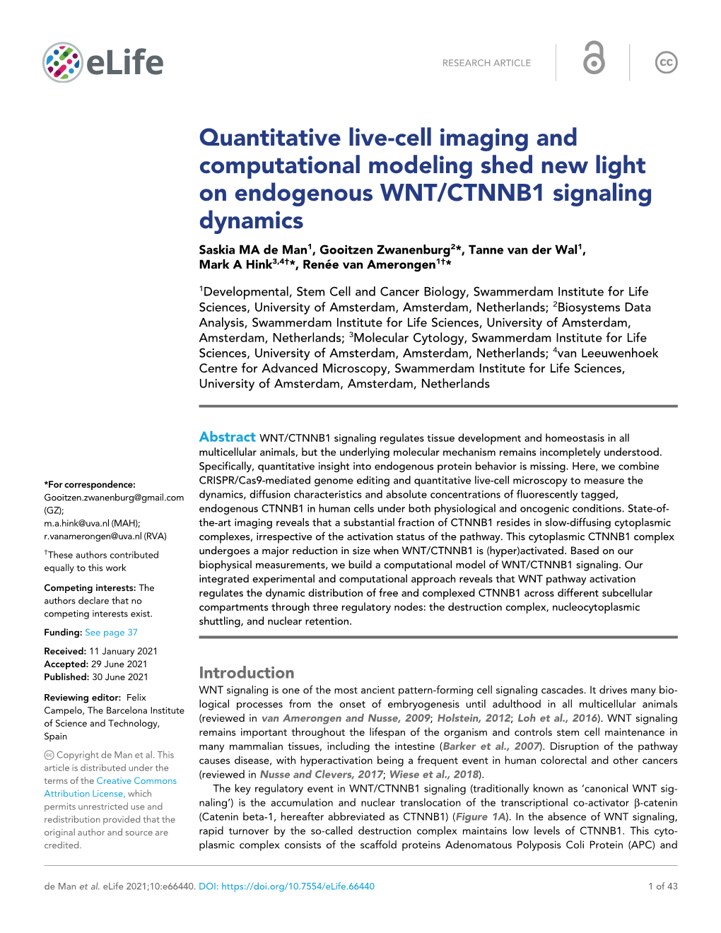 Quantitative Live-Cell Imaging and Computational Modeling Shed New