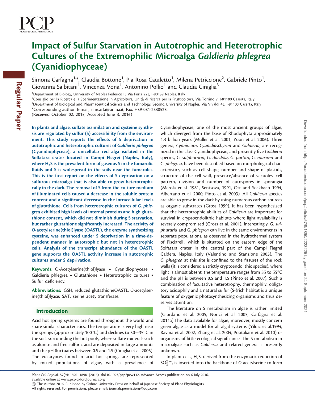 Impact of Sulfur Starvation in Autotrophic and Heterotrophic