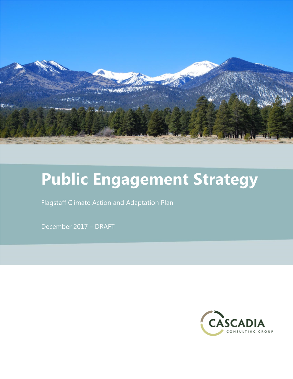 Public Engagement Strategy