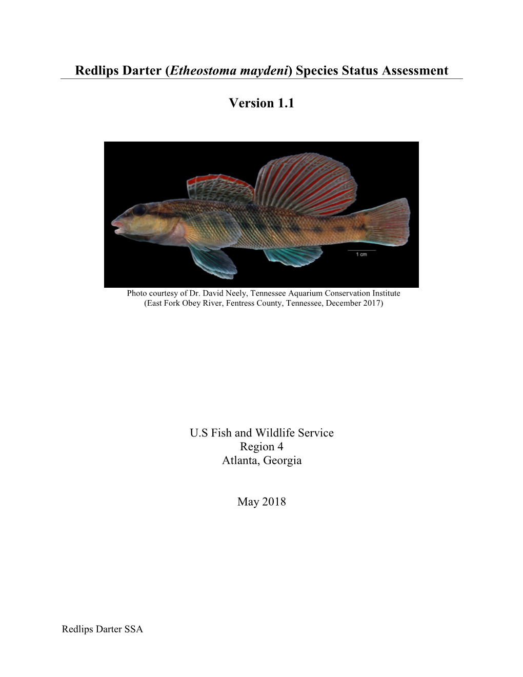 Etheostoma Maydeni) Species Status Assessment