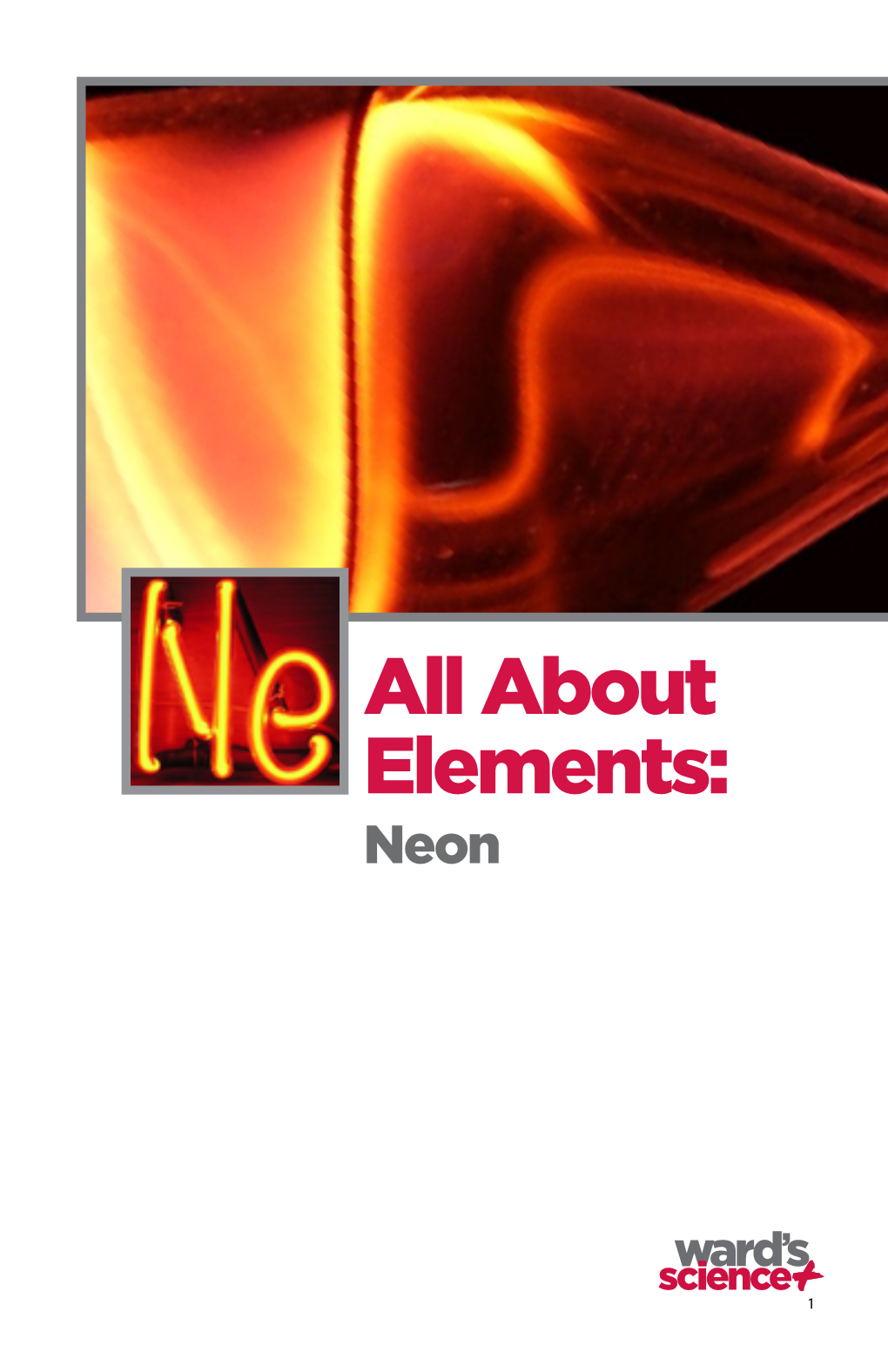 All About Elements: Neon