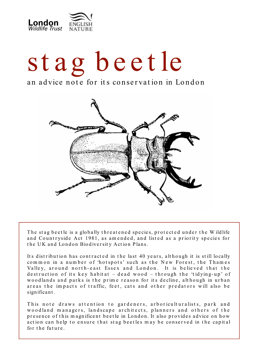 Stag Beetle an Advice Note for Its Conservation in London