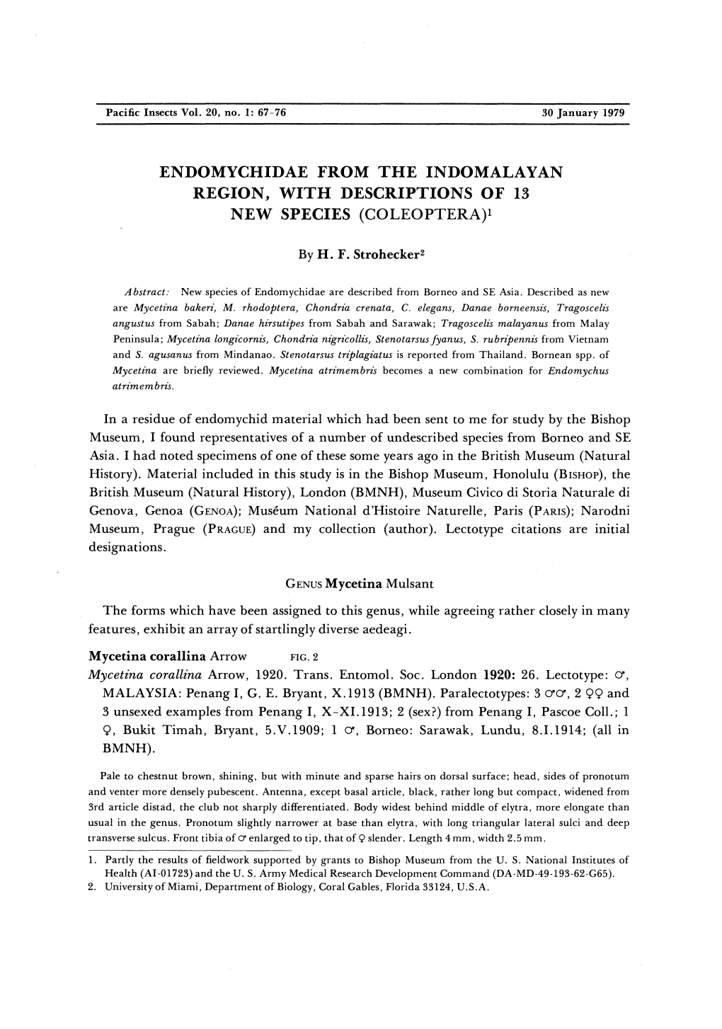 Endomychidae from the Indomalayan Region, with Descriptions of 13 New Species (Coleoptera)*