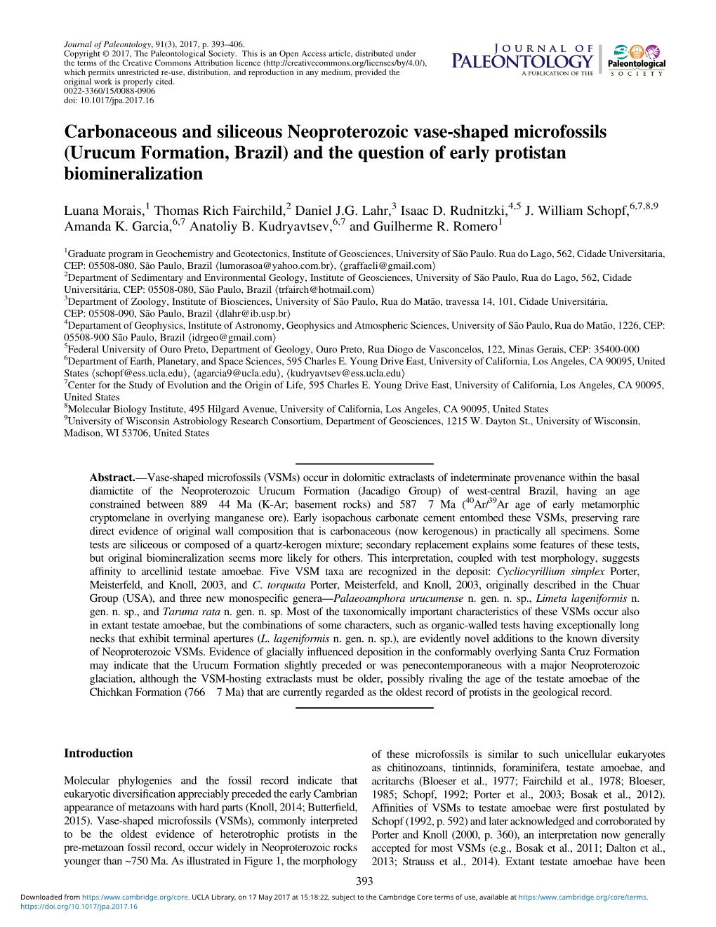 Carbonaceous and Siliceous Neoproterozoic Vase-Shaped Microfossils (Urucum Formation, Brazil) and the Question of Early Protistan Biomineralization