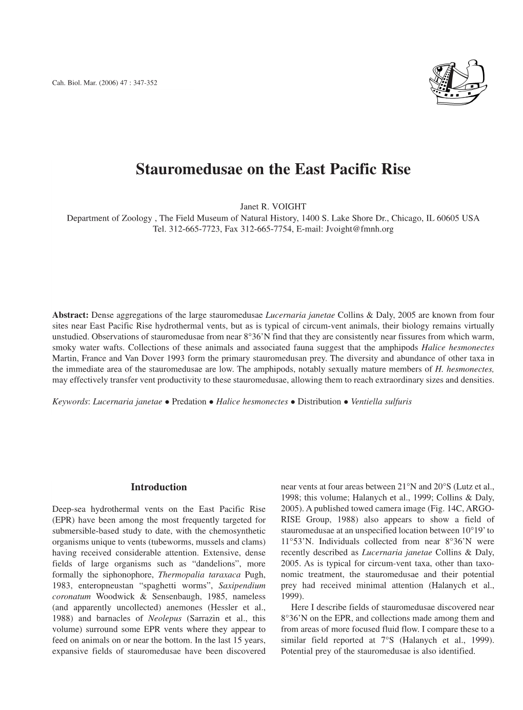 Stauromedusae on the East Pacific Rise