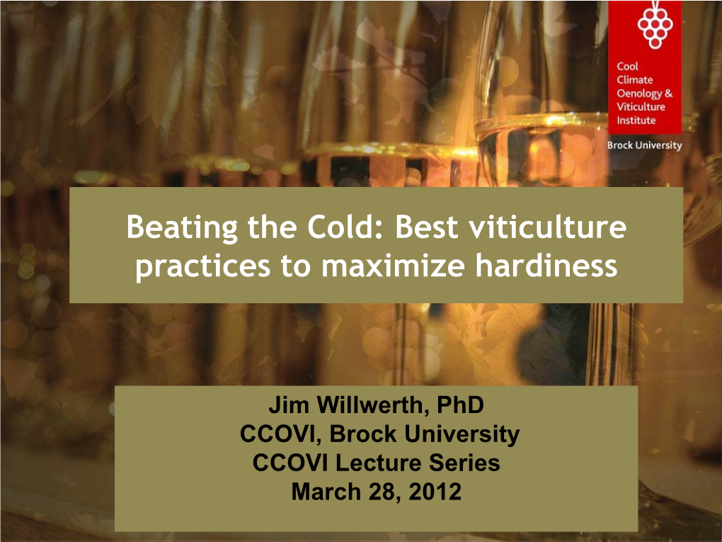 Beating the Cold: Best Viticulture Practices to Maximize Hardiness