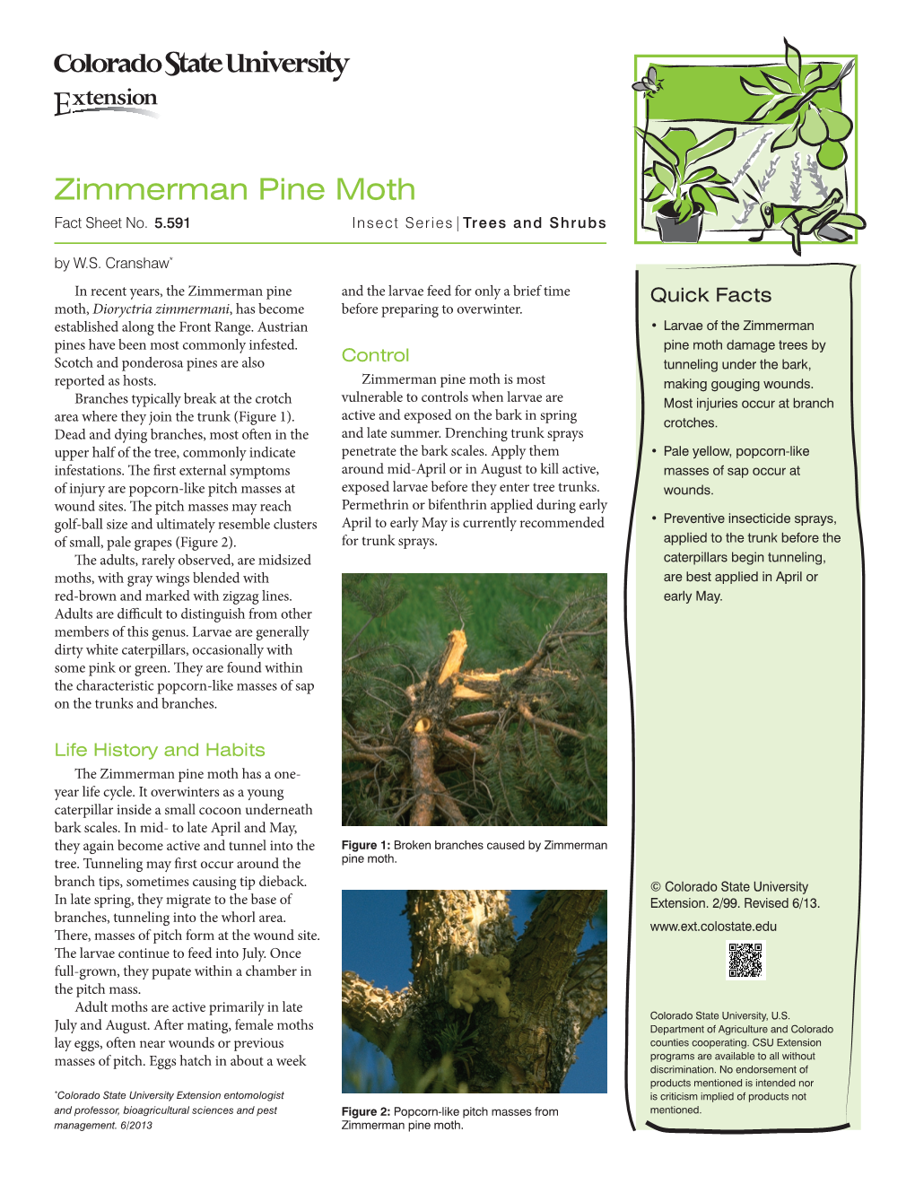 Zimmerman Pine Moth Fact Sheet No