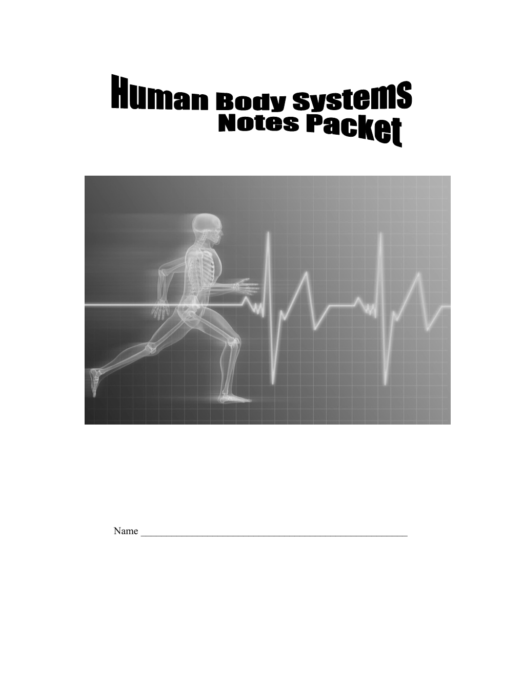 The Skeletal System s2