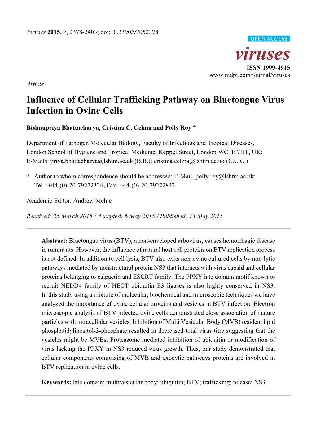 Influence of Cellular Trafficking Pathway on Bluetongue Virus Infection in Ovine Cells