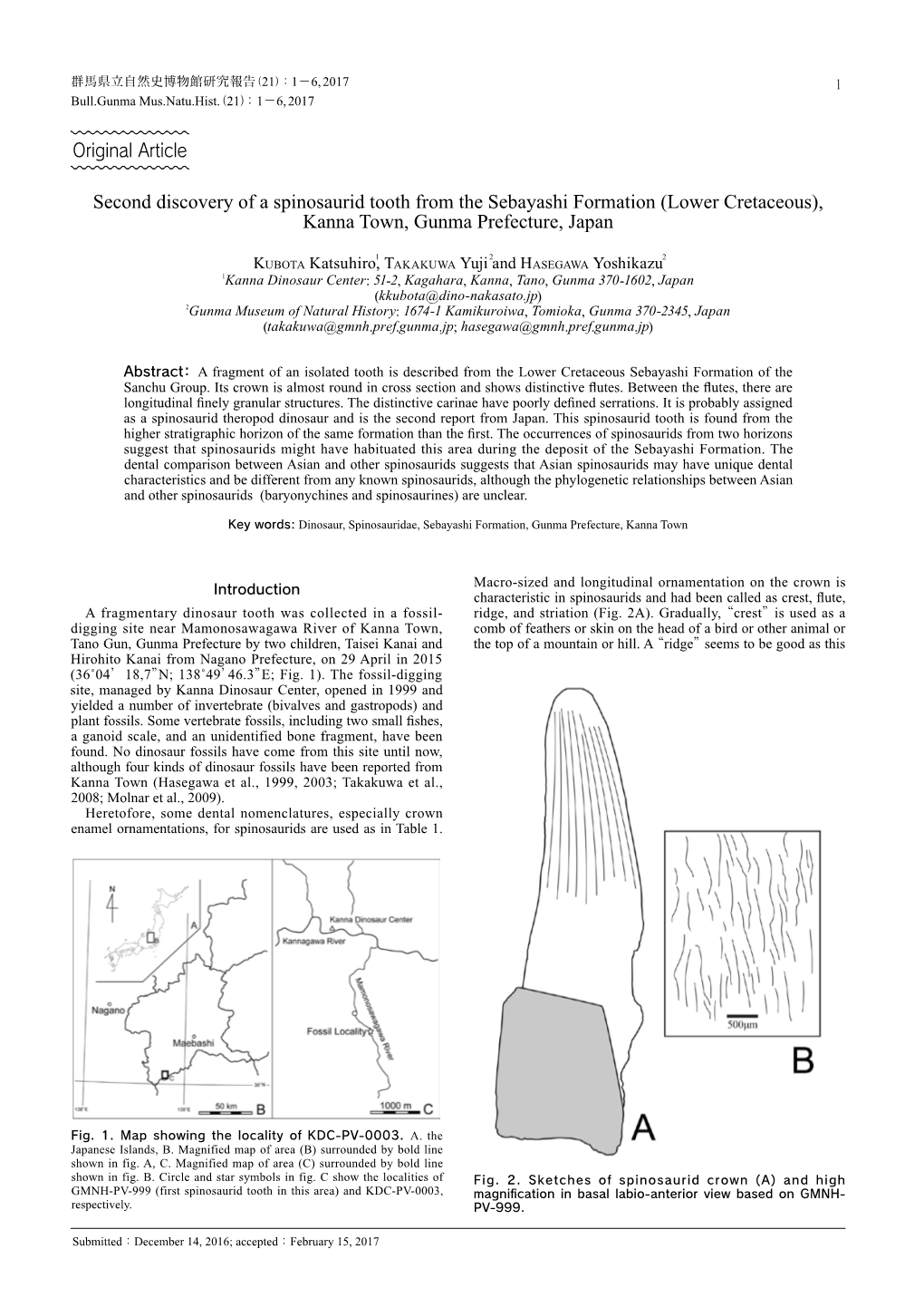 Second Discovery of a Spinosaurid Tooth from the Sebayashi Formation (Lower Cretaceous), Kanna Town, Gunma Prefecture, Japan