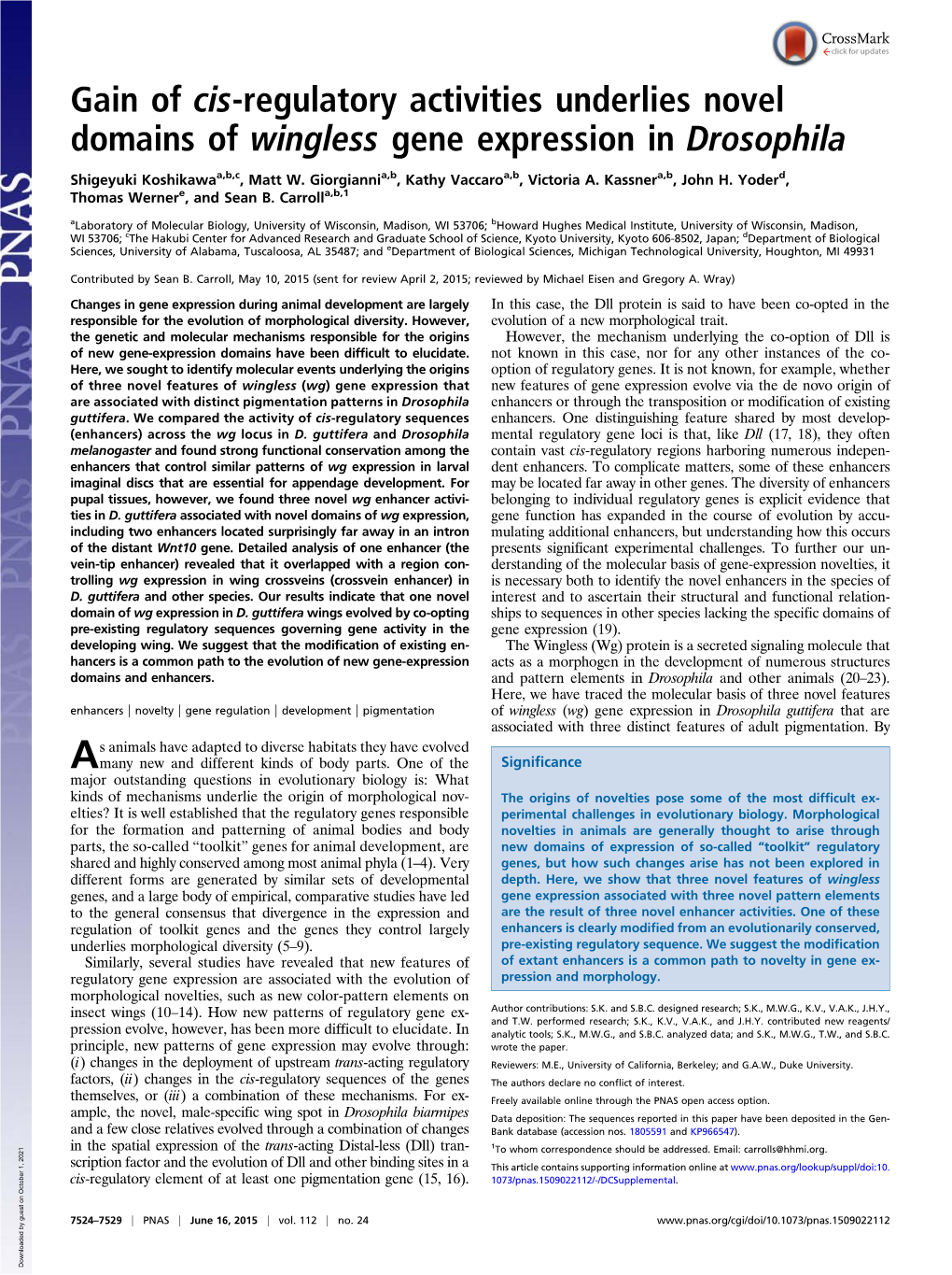 Gain of Cis-Regulatory Activities Underlies Novel Domains of Wingless Gene Expression in Drosophila