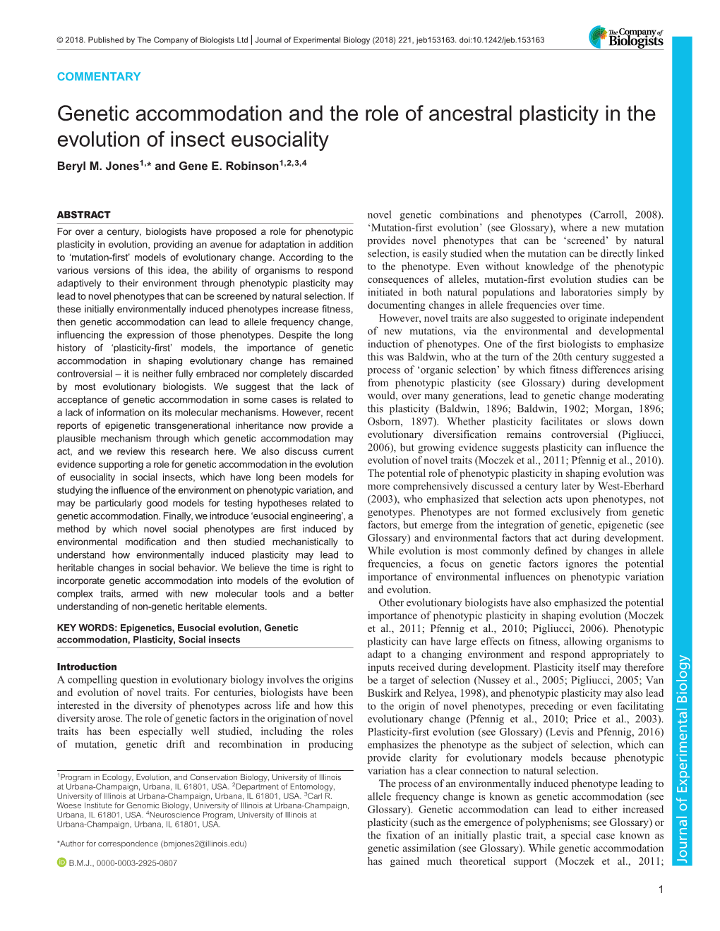 Genetic Accommodation and the Role of Ancestral Plasticity in the Evolution of Insect Eusociality Beryl M