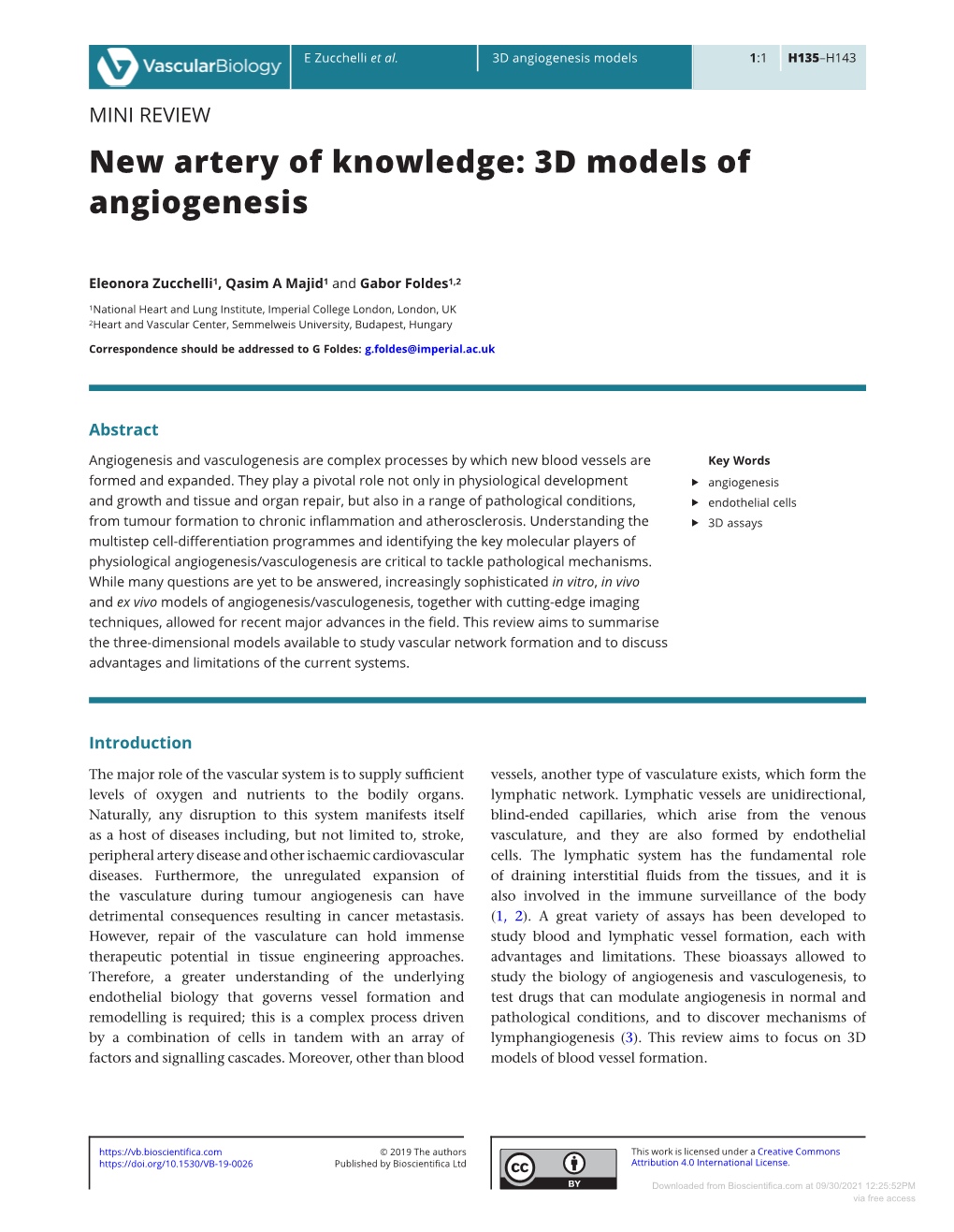 3D Models of Angiogenesis