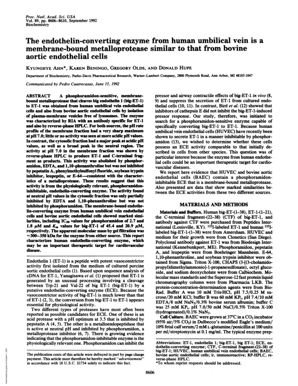 Membrane-Bound Metalloprotease Similar to That from Bovine