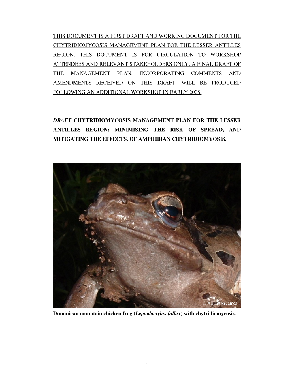 This Document Is a First Draft and Working Document for the Chytridiomycosis Management Plan for the Lesser Antilles Region