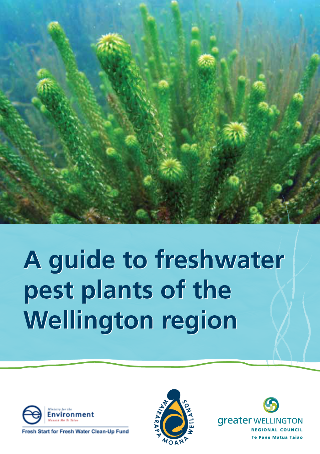 A Guide to Freshwater Pest Plants of the Wellington Region REPORT THESE WEEDS – 0800 496 734