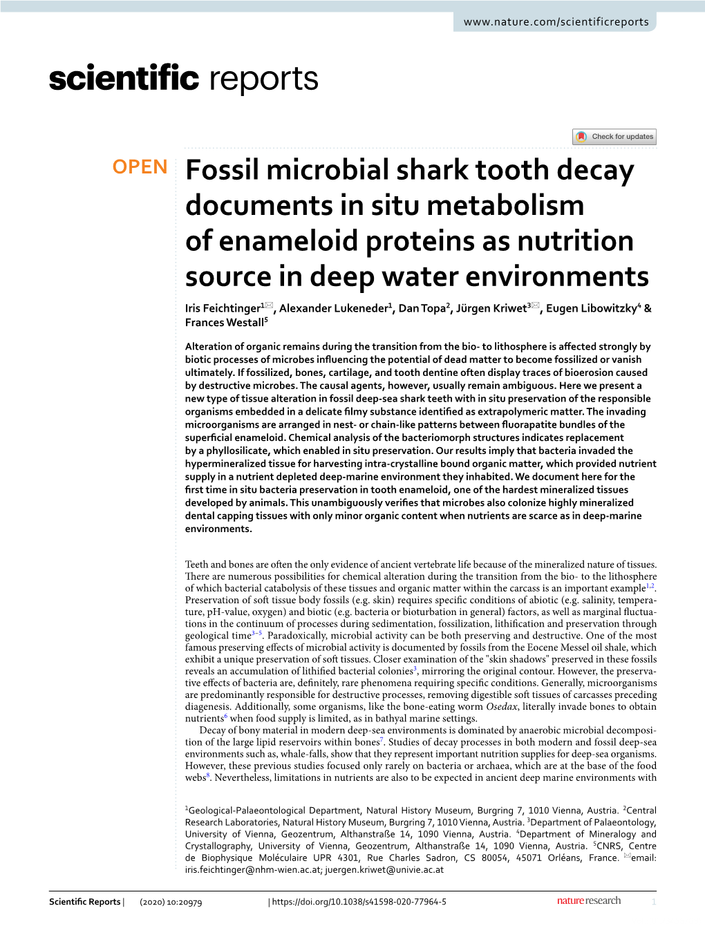 Fossil Microbial Shark Tooth Decay Documents in Situ Metabolism Of