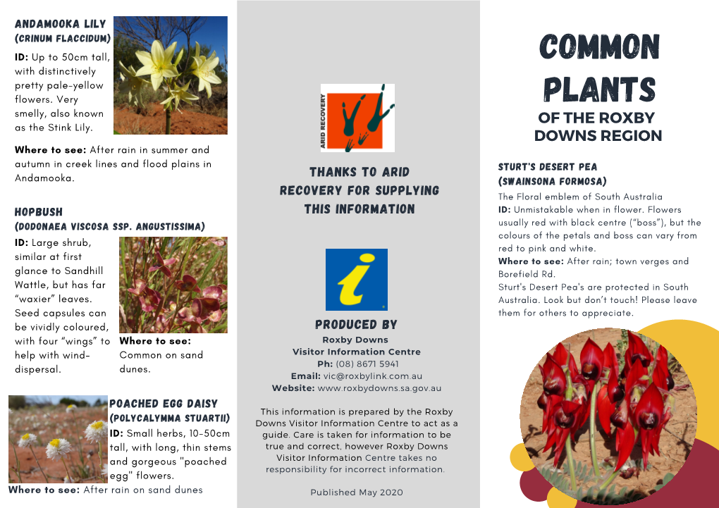 Common Plants