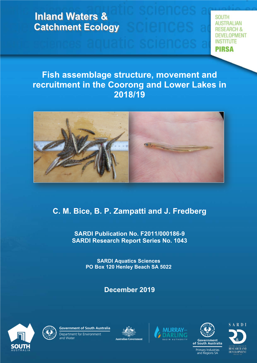 Fish Assemblage Structure, Movement and Recruitment in the Coorong and Lower Lakes in 2018/19