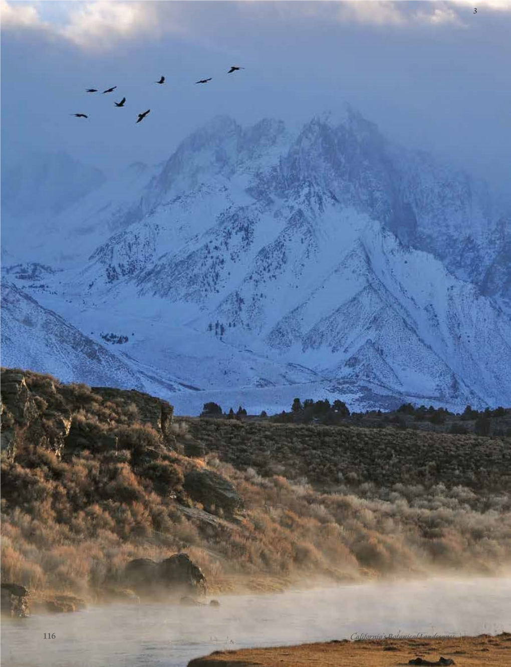 Mono and Southeastern Great Basin