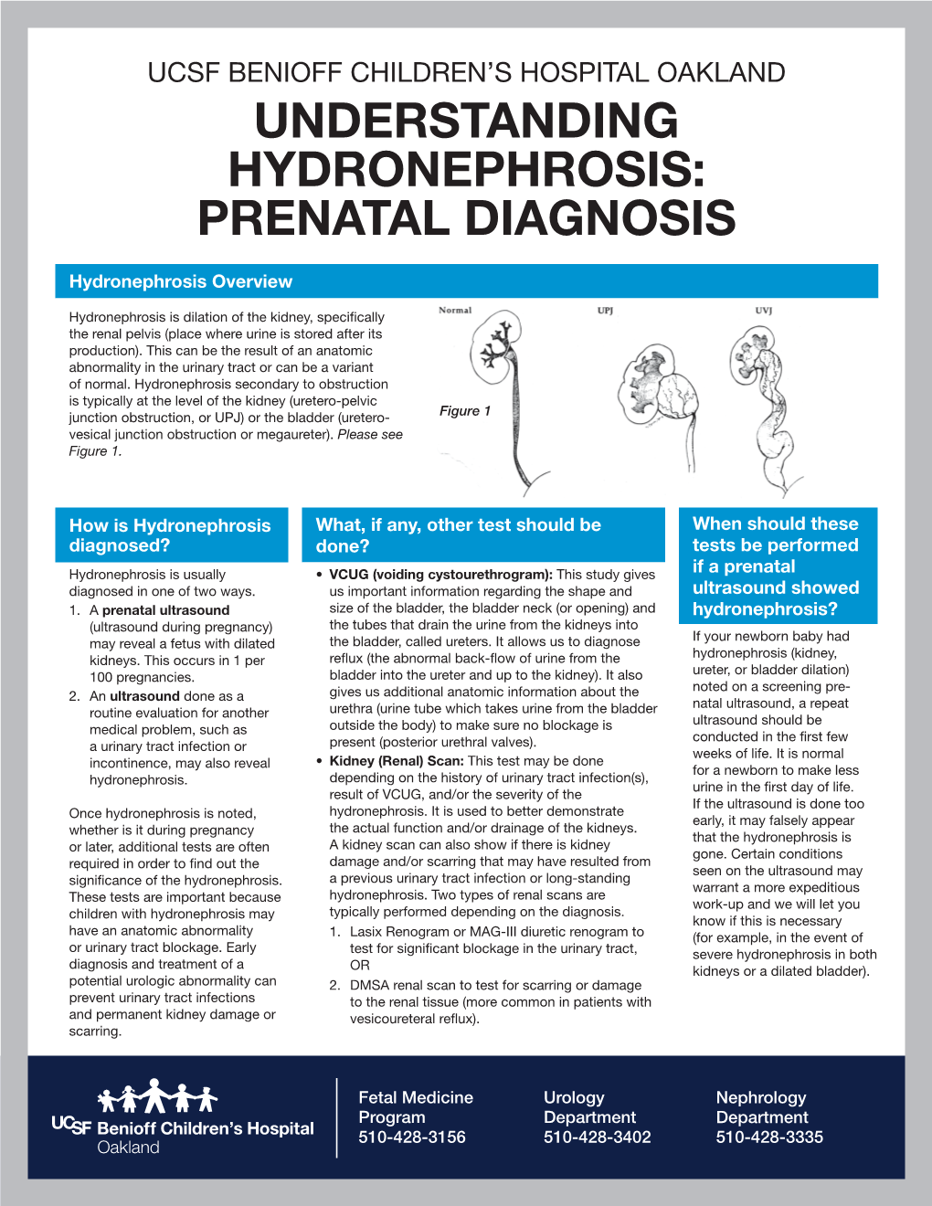 Understanding Hydronephrosis, Fetal Medicine Program UCSF Benioff