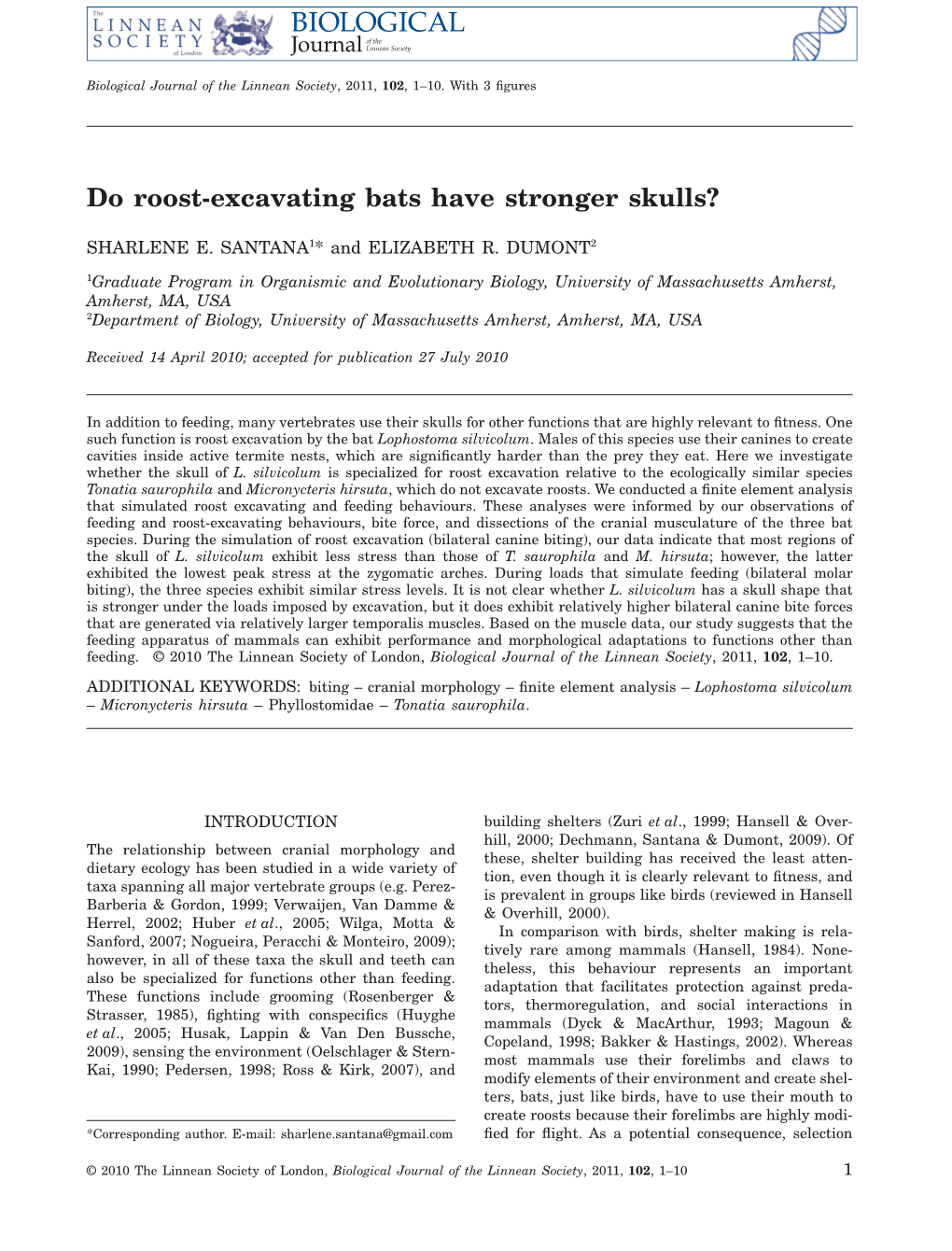 Do Roost-Excavating Bats Have Stronger Skulls?