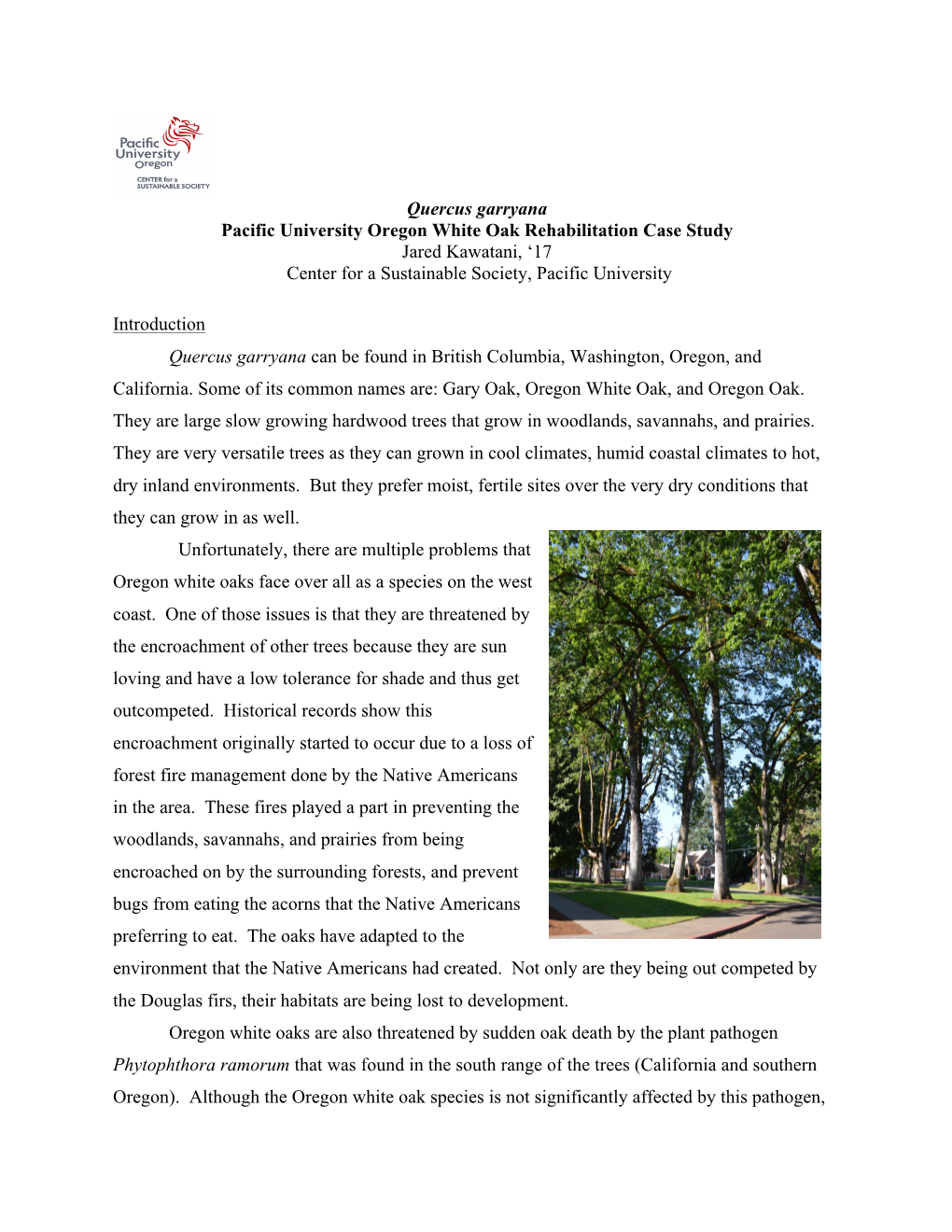 Quercus Garryana Pacific University Oregon White Oak Rehabilitation Case Study Jared Kawatani, ‘17 Center for a Sustainable Society, Pacific University