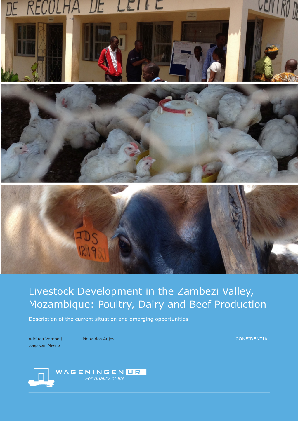 Livestock Development in the Zambezi Valley, Mozambique: Poultry, Dairy and Beef Production
