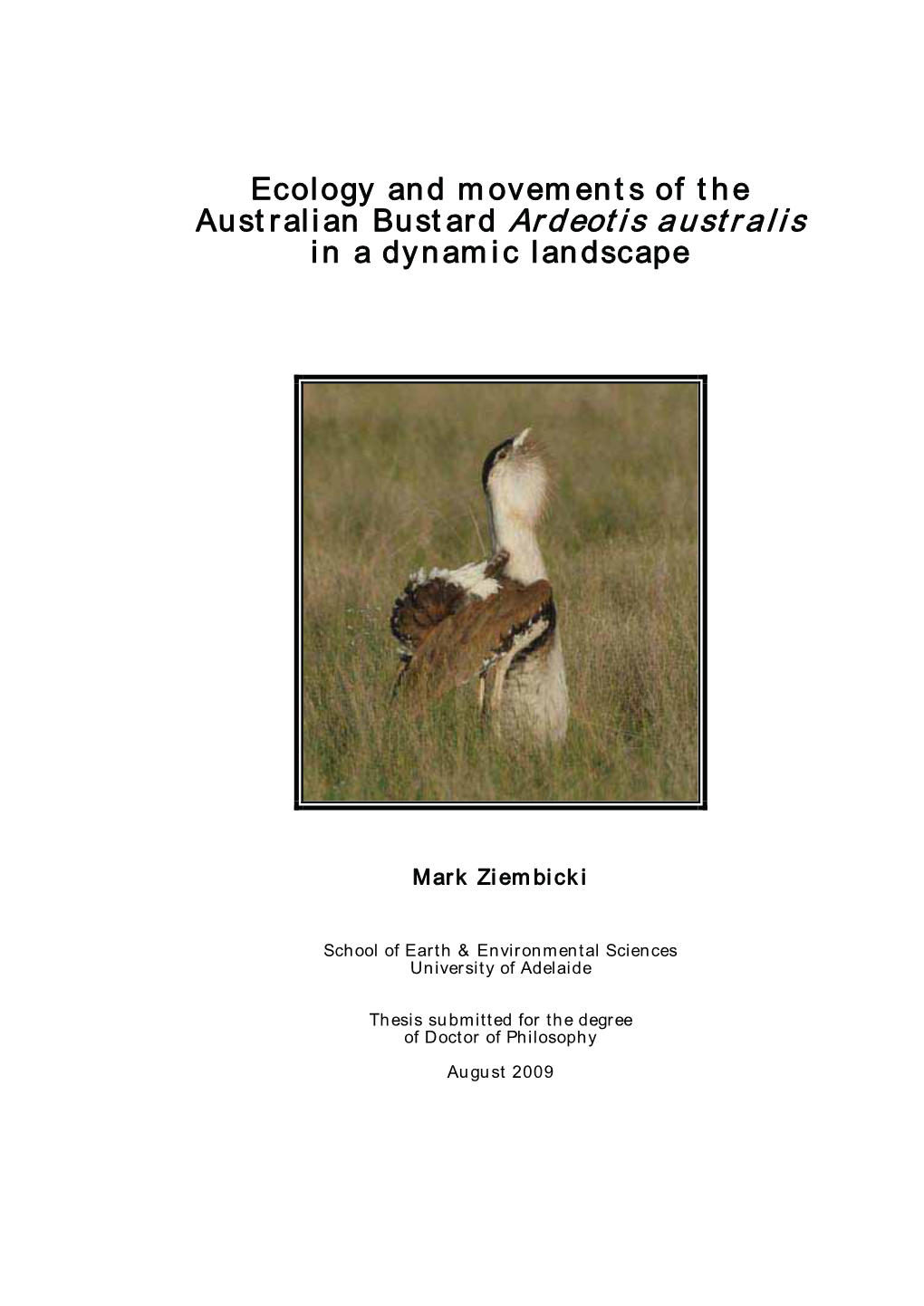 Ecology and Movements of the Australian Bustard Ardeotis Australis in a Dynamic Landscape